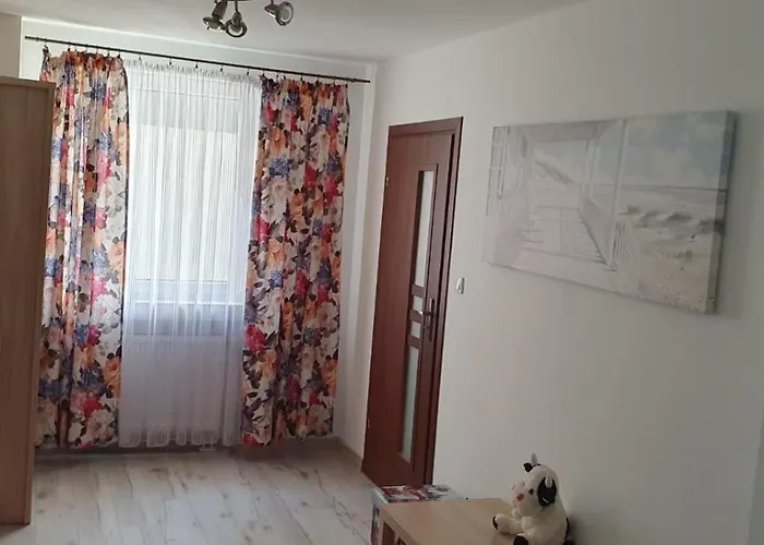 Dodo Acomodo 1 דירה *