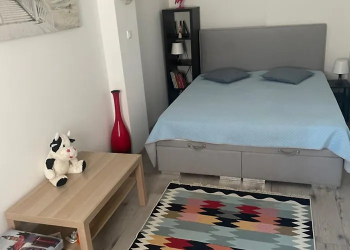 Dodo Acomodo 1 Apartment Katowice