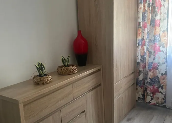 Dodo Acomodo 1 * Катовице